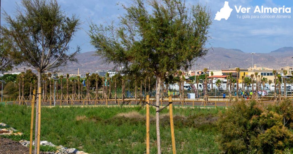 Delta Andarax Almería