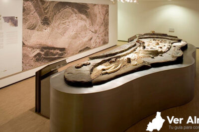 Museo Arqueológico de Almería