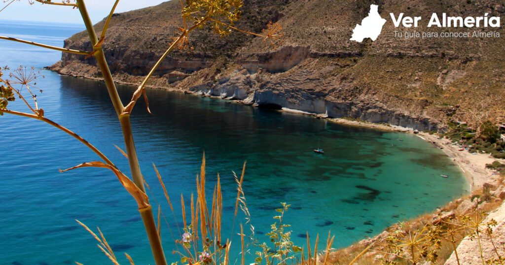 Flora y fauna del Parque Natural de Cabo de Gata