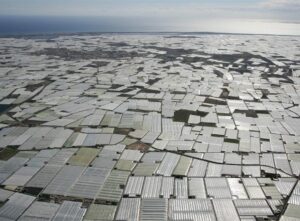 Invernaderos de Almería
