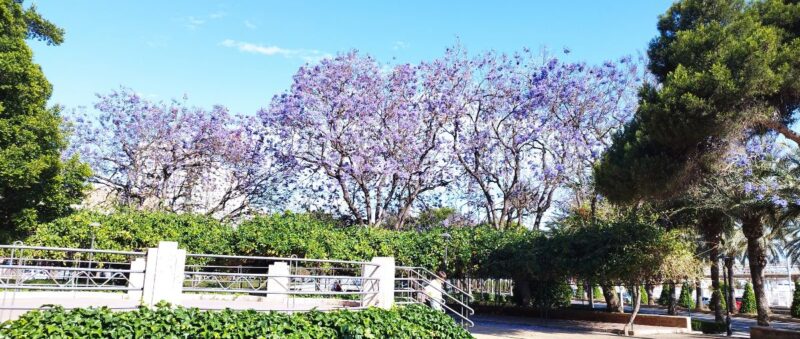 Parques de Almería
