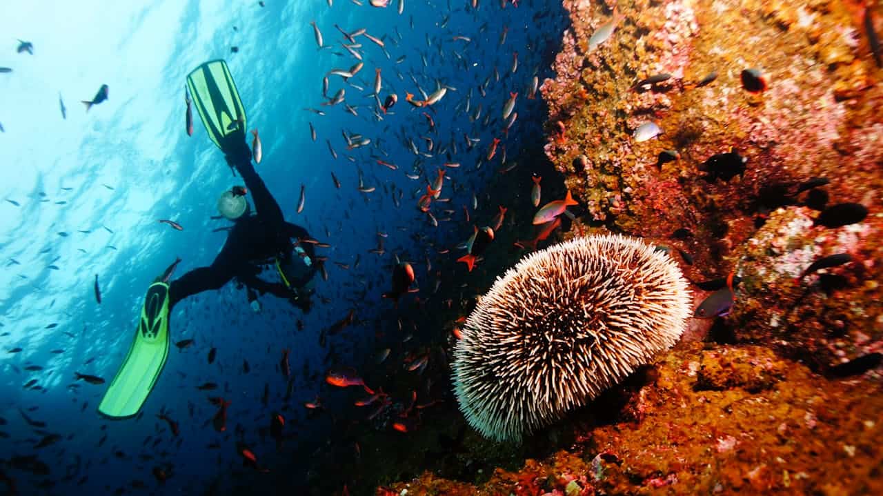 Islas Galapagos